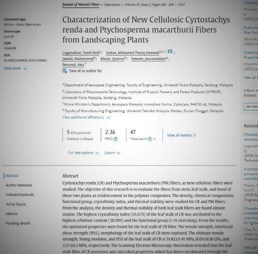 Characterization of New Cellulosic Cyrtostachys renda and Ptychosperma macarthurii Fibers from Landscaping Plants